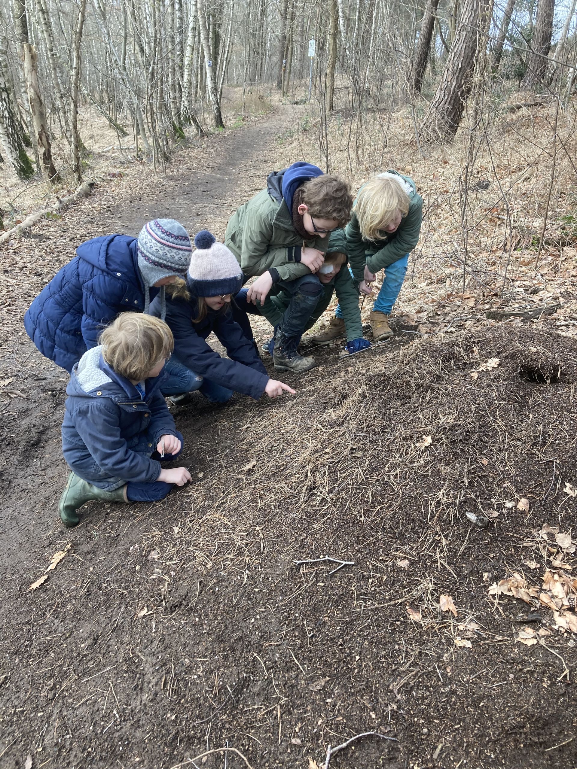 Waldläufer Ausbildung für Kinder